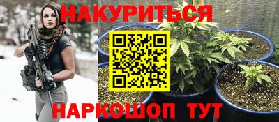 бошки Тверь