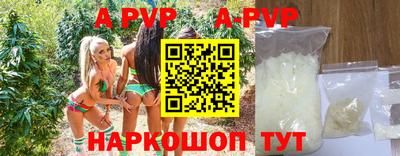 бошки Тверь